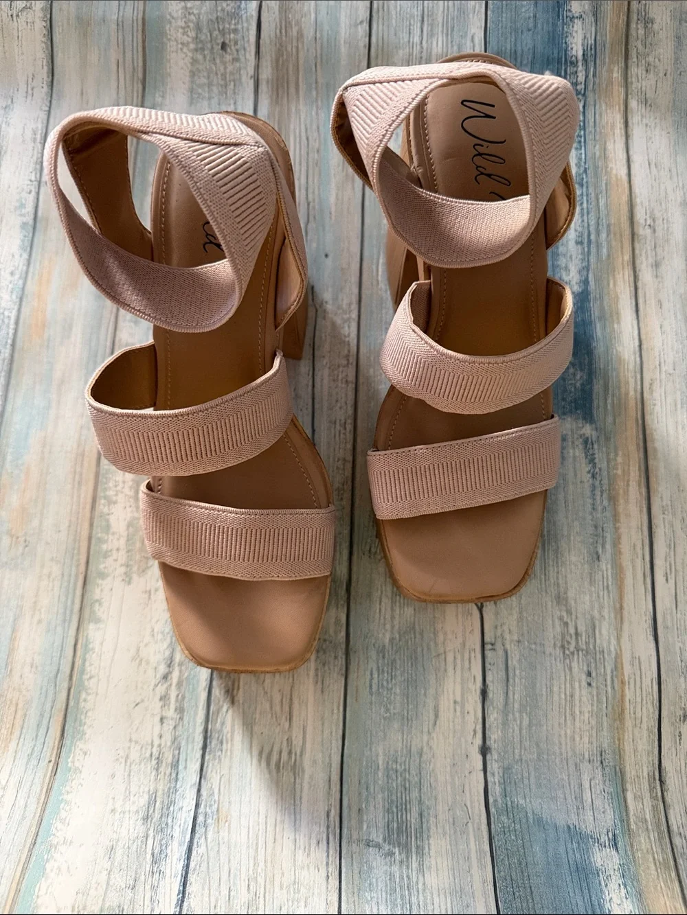 Wild Pair : NWOT Platform Block Heel Sandal in Nude